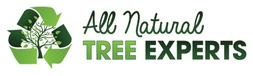 All Natural Tree Experts | Arborist 