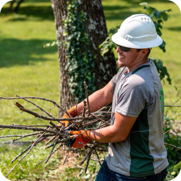 {posthttps://allnaturaltreeexperts.com/blog/why-we-wont-top-your-trees/Why We Won’t Top Your Trees_title}