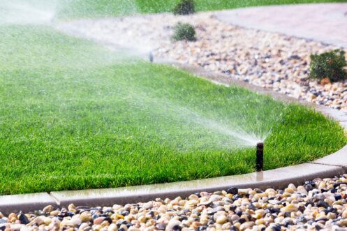{posthttps://allnaturaltreeexperts.com/blog/reviving-your-christiansburg-lawn-after-winter/Reviving Your Christiansburg Lawn After Winter_title}