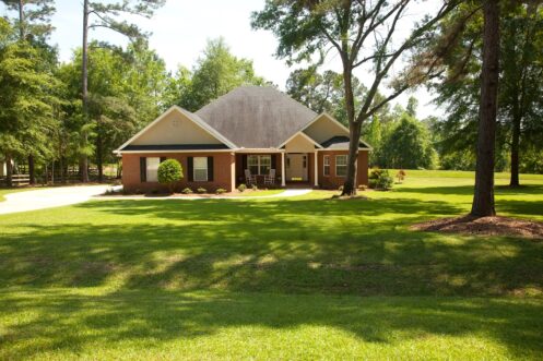 {posthttps://allnaturaltreeexperts.com/blog/the-benefits-of-scheduling-an-arborist-consultation/The Benefits of Scheduling an Arborist Consultation_title}