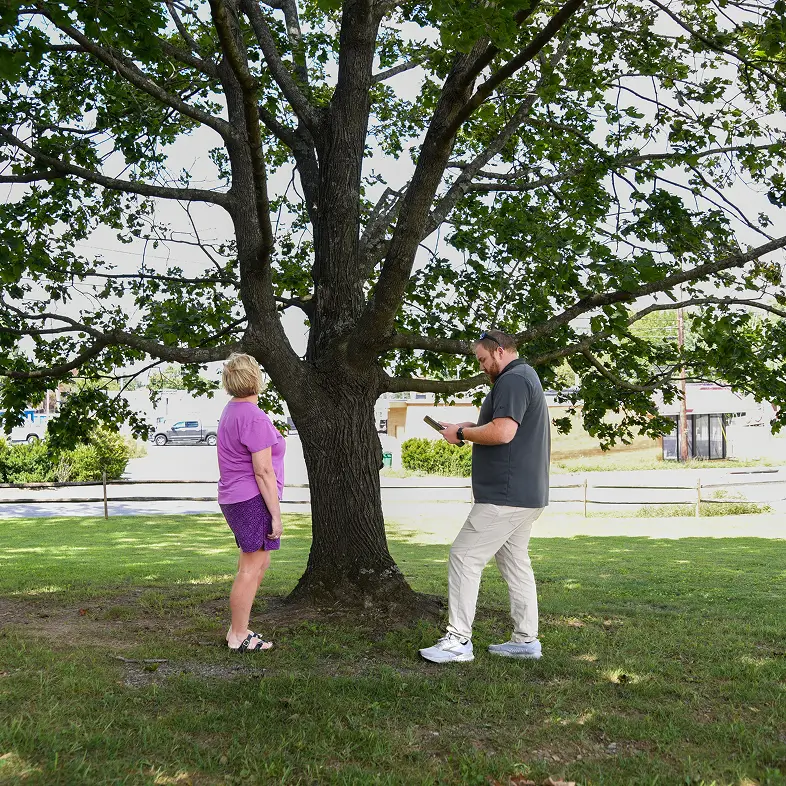 {posthttps://allnaturaltreeexperts.com/blog/signs-tree-pest-disease-problem-virginia/Top 10 Signs Your Tree Has a Pest or Disease Problem_title}