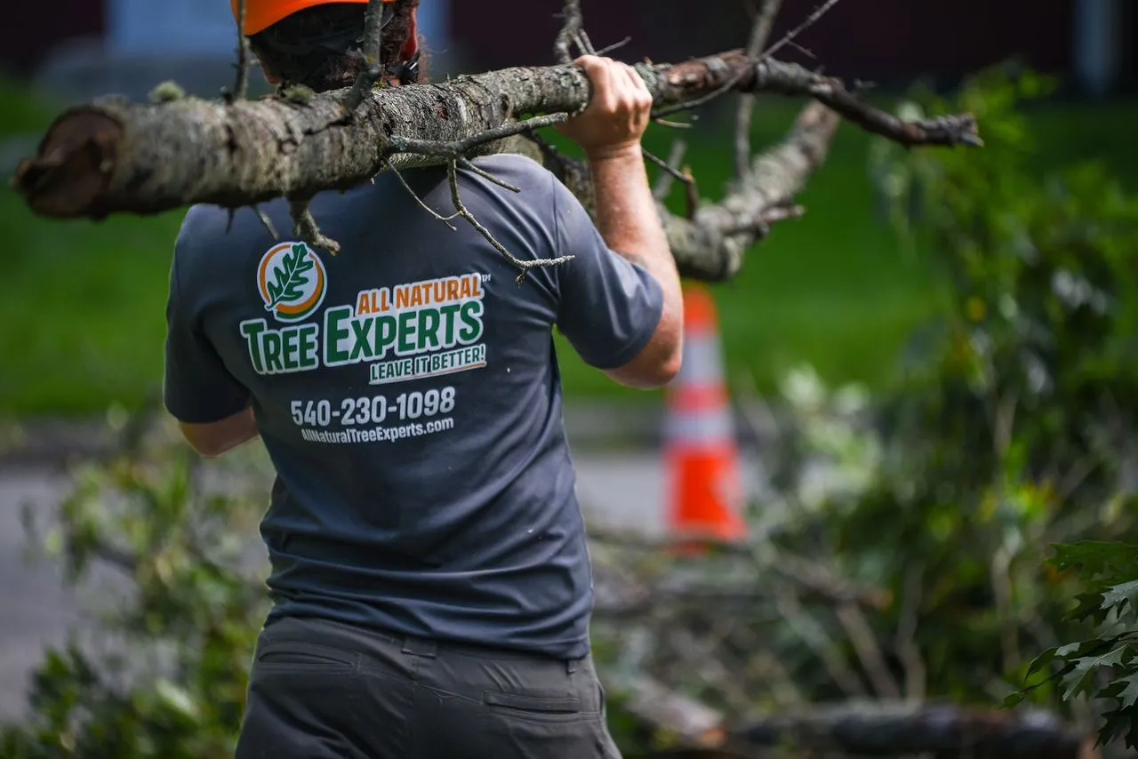 Storm damage - Emergency Tree Removal in Christiansburg