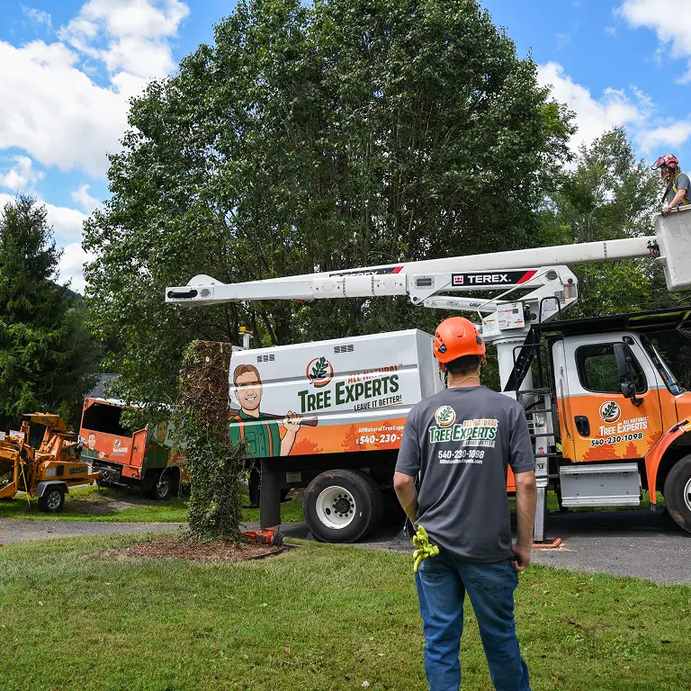landscaping-company-christiansburg-05