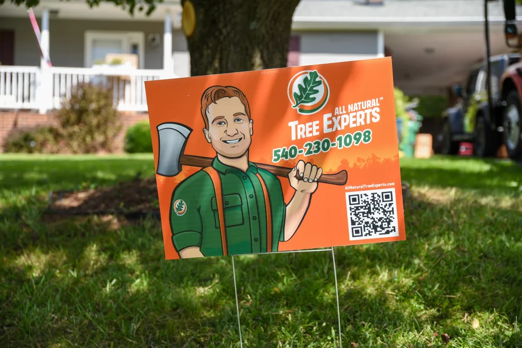 tree doctors christiansburgh