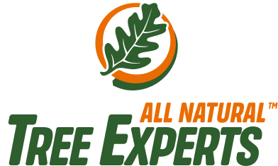 All Natural Tree Experts logo