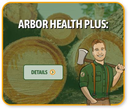arbor health plus