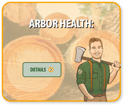 arbor health plus
