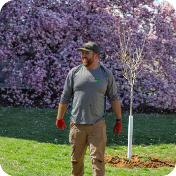 man with planted tree